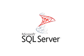 Microsoft SQL Server (MSSQL)